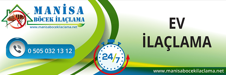 Ev İlaçlama