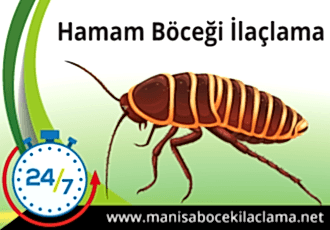 Hamam Böceği İlaçlama