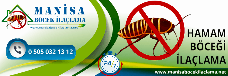 Hamam Böceği İlaçlama