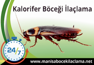 Kalorifer Böceği İlaçlama