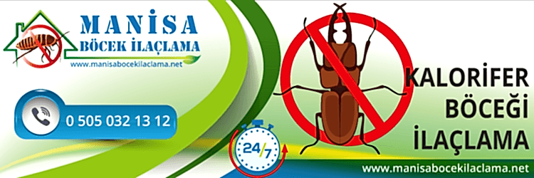 Kalorifer Böceği İlaçlama