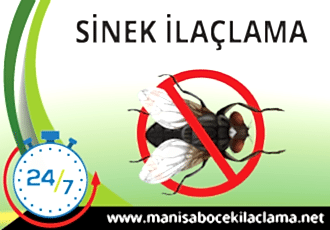 Sinek İlaçlama