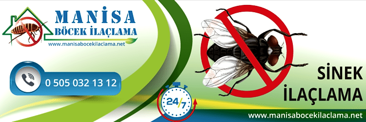 Sinek İlaçlama