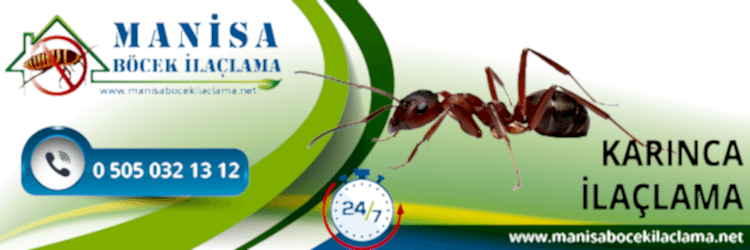Karınca İlaçlama