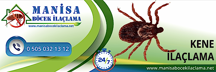 Kene İlaçlama