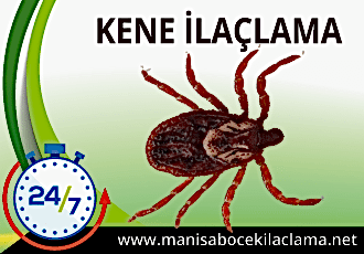 Kene İlaçlama