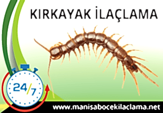 Kırkayak İlaçlama