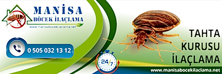 Tahta Kurusu İlaçlama