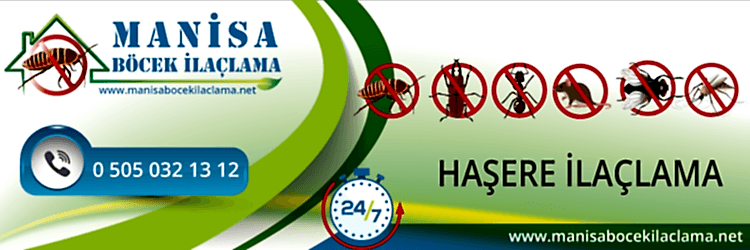 Haşere İlaçlama